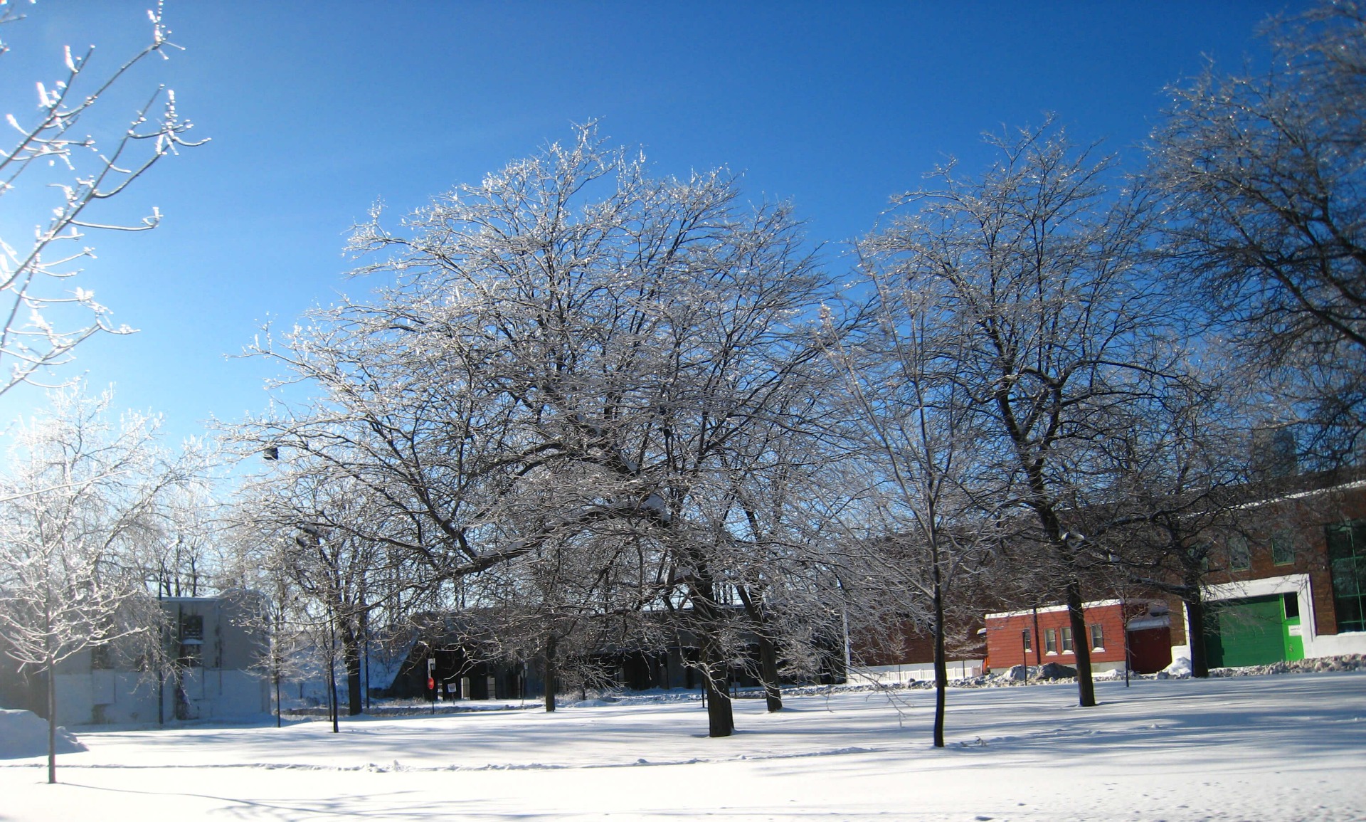 A Typical Winter Day
